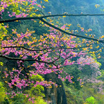 唐家河风景区