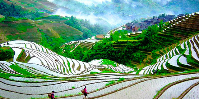 杨堤门票_杨堤旅游攻略_桂林杨堤攻略\/地址\/图