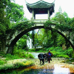 郭洞古生态村