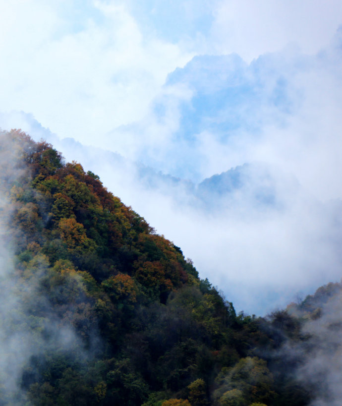 【最秋光雾山】—山事秋色,光雾最美