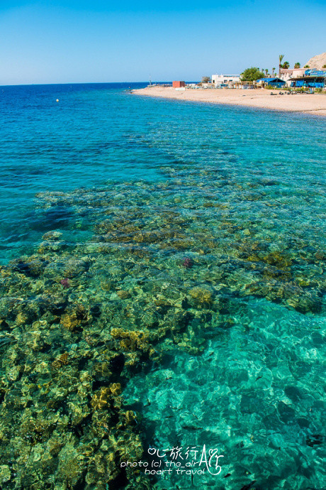 红海珊瑚滩自然保护区