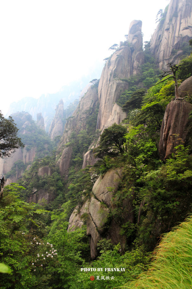 上饶 【实拍】云端听花开:五月三清山风光美如画 三清山风景区 登玉台