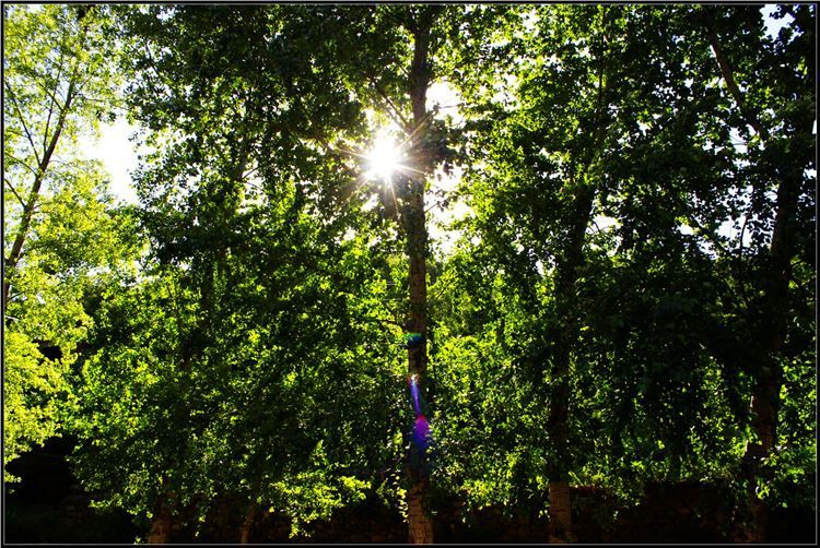 【崆山白云洞验客】白云洞奇,天台山秀,醉在临城山水间.