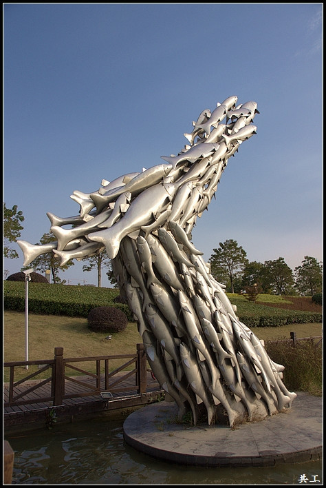 这个大群的鱼造型最奇特. 云龙湖