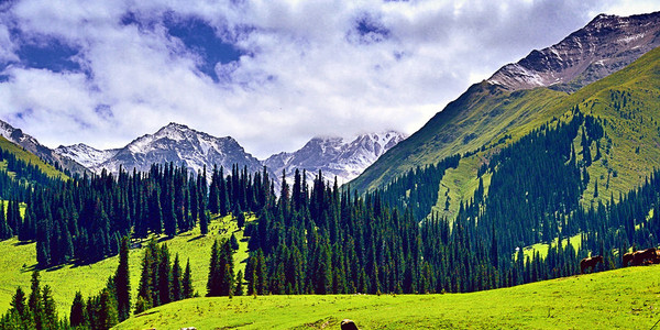 新疆伊犁赛里木湖 那拉提草原 吐尔根杏花沟 天山天池 吐鲁番双飞8日
