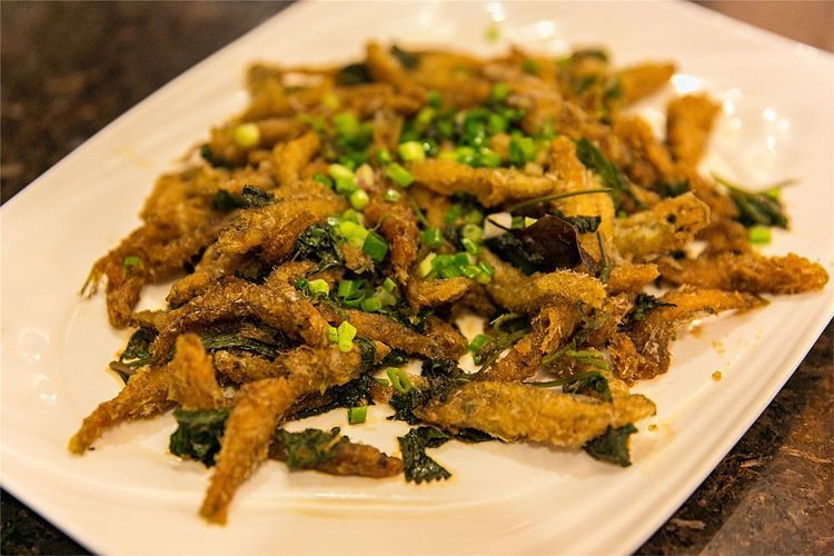 深秋季的南昆山温泉小旅行