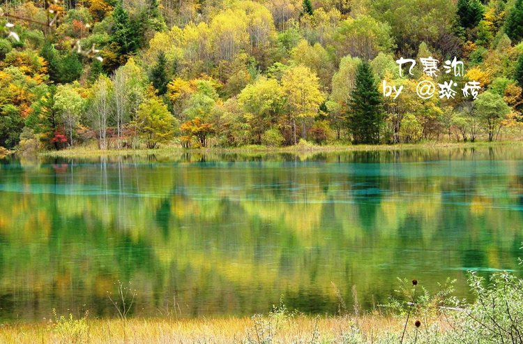 【疯狂游记】九寨秋色 - 阿坝藏族羌族自治州游记攻略【同程旅游攻略】