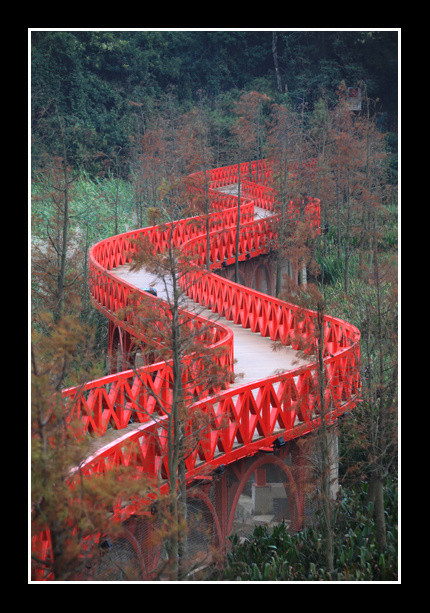 红羽栈道东部华侨城红羽栈道能通向湿地公园 摄于2009年12月东部华侨