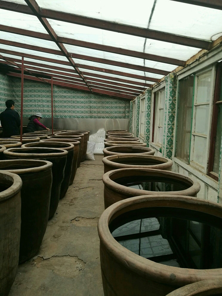 这一个个大缸里全是醋