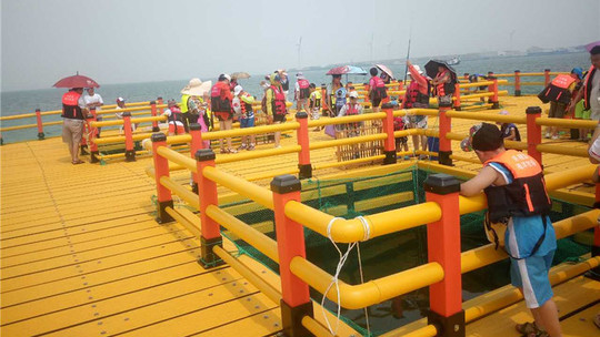 东楮岛海洋牧场门票预订_东楮岛海洋牧场门票