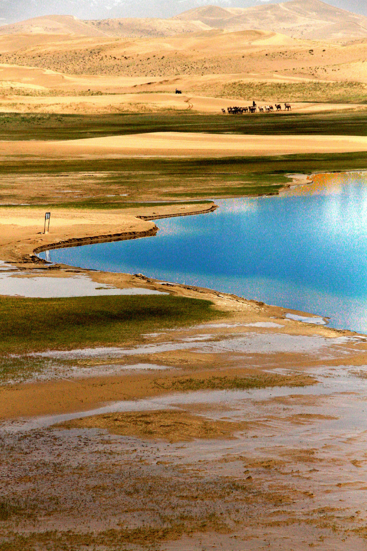 世间所有的魂牵梦绕都在这里(青海金子海)
