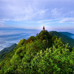 中国茶山竹海国家森林公园
