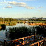 北京野鸭湖国家湿地公园