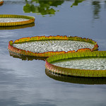 西安植物园