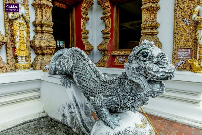 独闯庙不可言的清迈&amazing bangkok