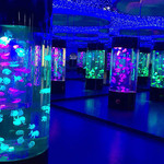嗒咪动物奇幻乐园(温州龙湾万达店)