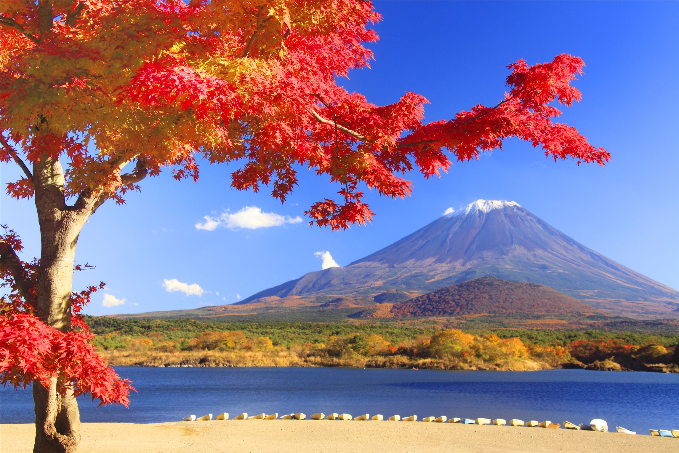 淮安到东京跟团游