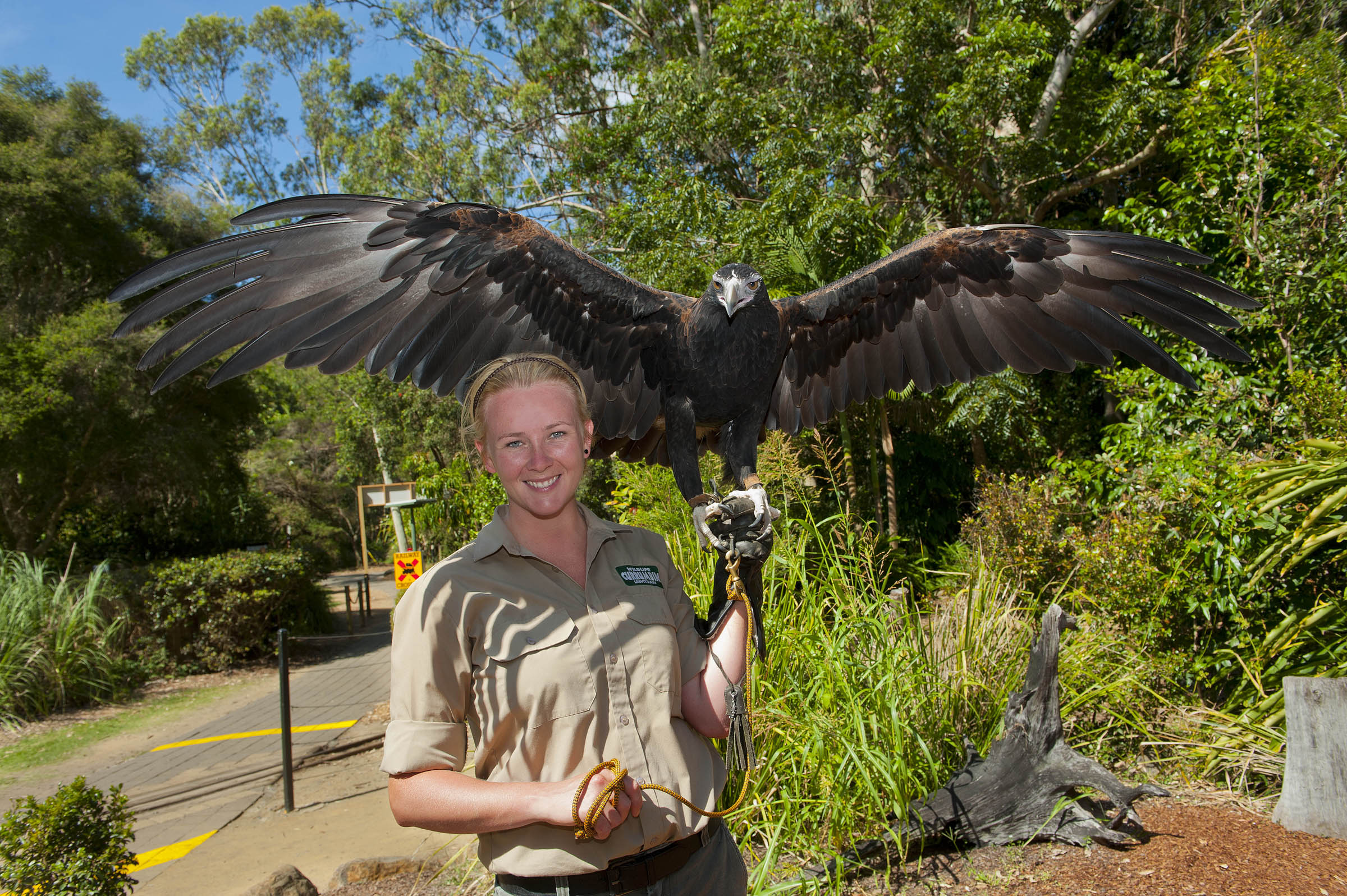 澳大利亚黄金海岸可伦宾野生动物园