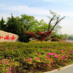 长兴江南红村