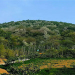 捺山地质公园