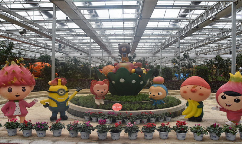 修文农业嘉年华