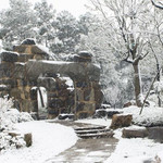 杏花村梅洲晓雪