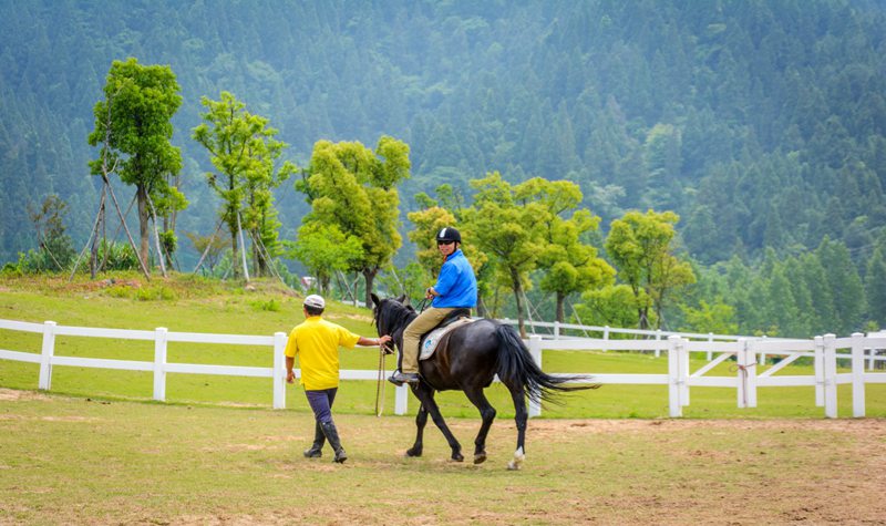 千岛湖进贤湾马术公园