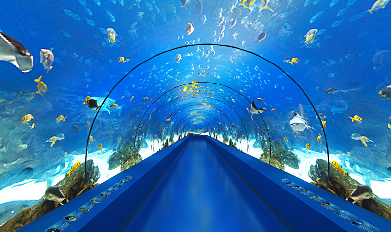 九丰极地海洋世界