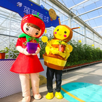 草莓星球植物园