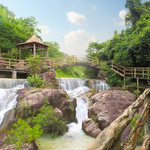 紫莲森林度假村