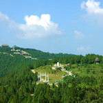 寿县八公山森林公园