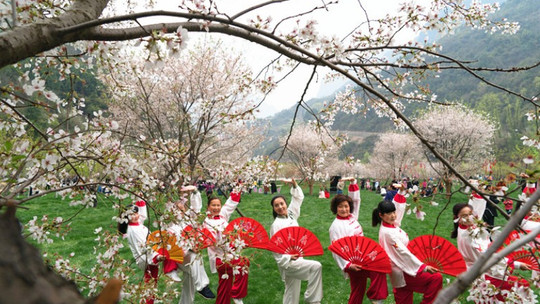 高岚大峡谷旅游度假区门票