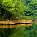 西河景区