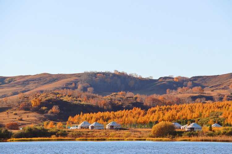 北上直击塞罕坝与乌兰布统,来看秋天的尾巴