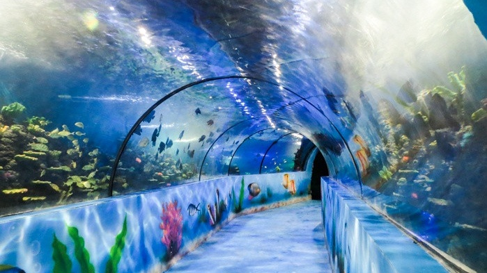 嘉兴极地海洋馆