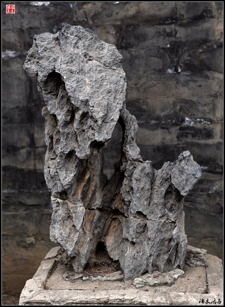 故宫贺岁迎祥——6,园林之骨观赏石