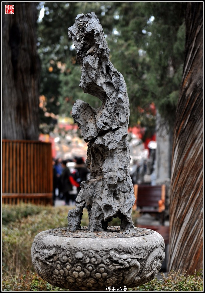 故宫贺岁迎祥——6,园林之骨观赏石