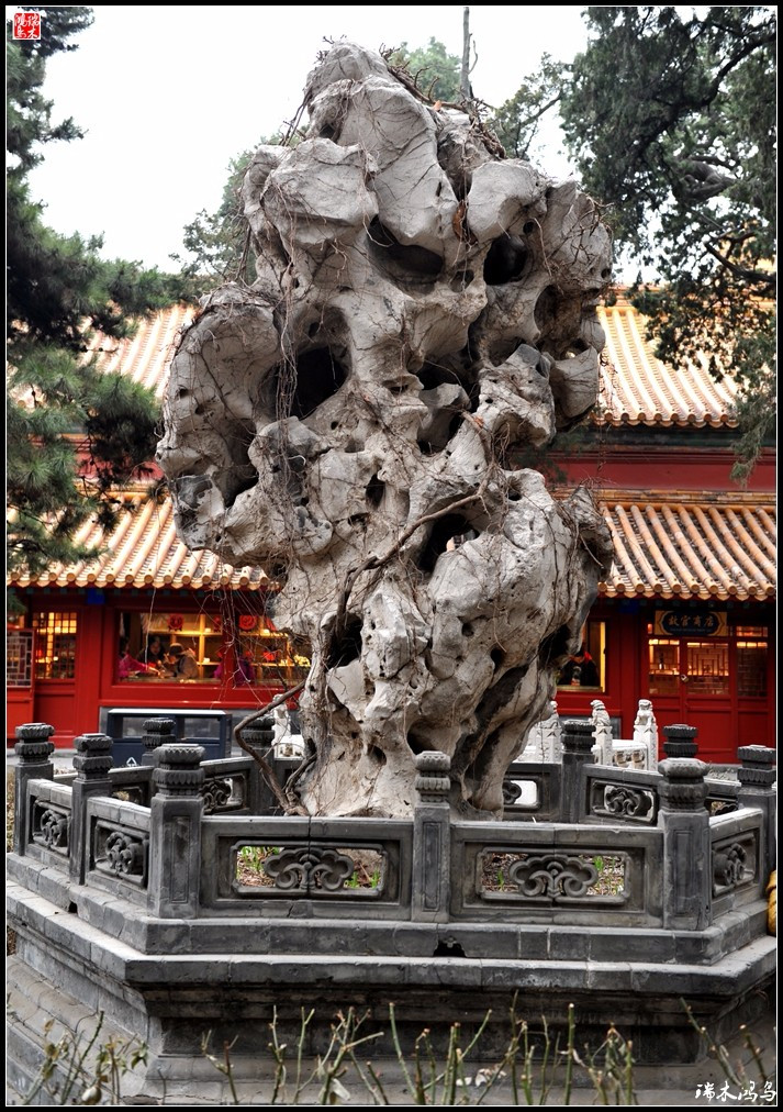 故宫贺岁迎祥——6,园林之骨观赏石