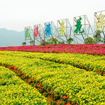 十里蓝山寻梦谷