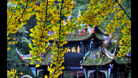 青城山门票