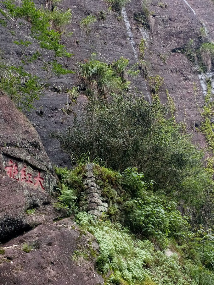 d3:虎啸岩——一线天——大红袍景区