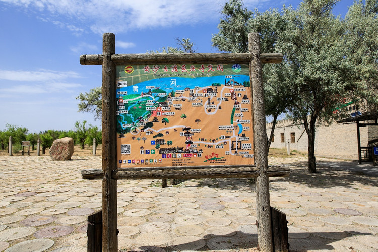 宁夏黄沙古渡游记