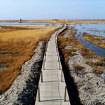 艾丁湖