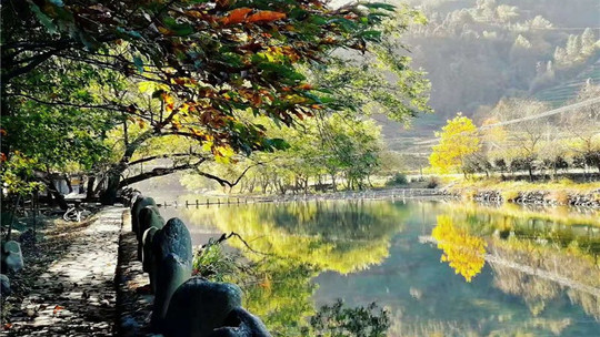 黄山枧潭生态漂流门票