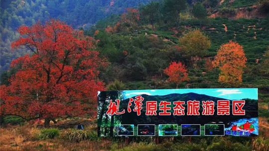 黄山枧潭生态漂流门票