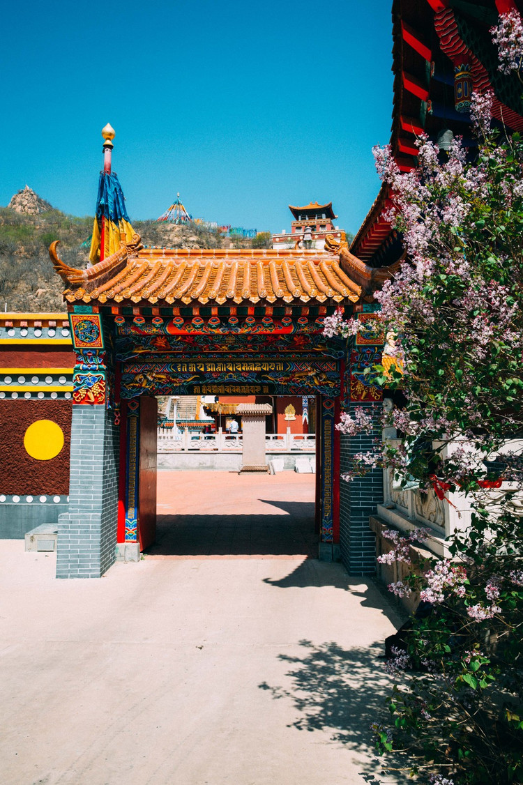 朝阳大黑山,杜鹃花海里的一场邂逅 逛完西游仙境,来到了山下的惠缘寺