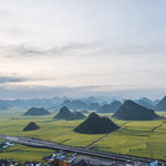 罗平油菜花景区