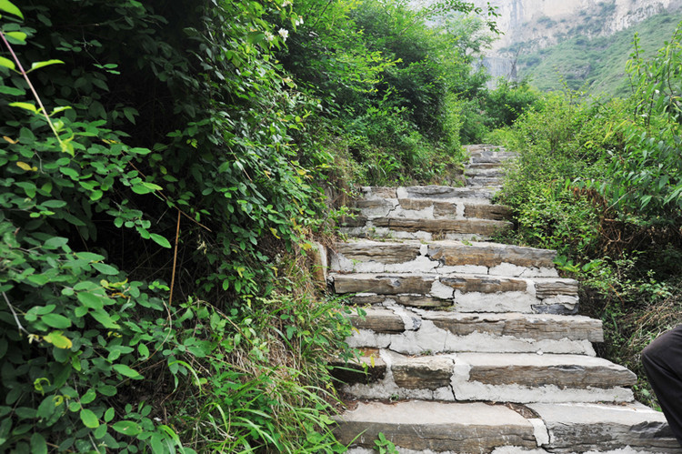 带着半个胆子行走天瀑峡  走出一线天,前行路上又成了石板台阶.