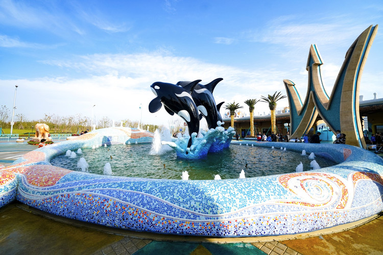 【上海海昌验客】海豚之恋,人鱼之媚,与女儿赴一场海洋约会