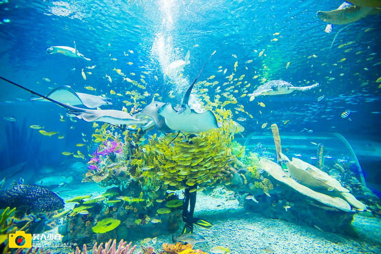 海底世界馆